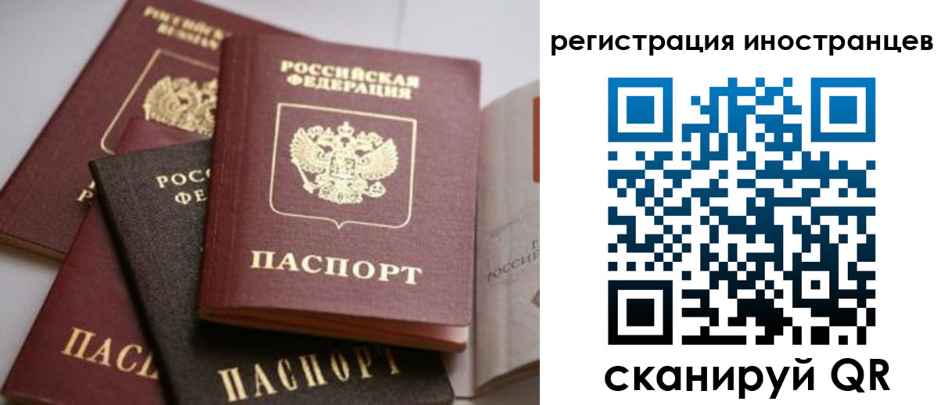 форма 3 в Шахунье